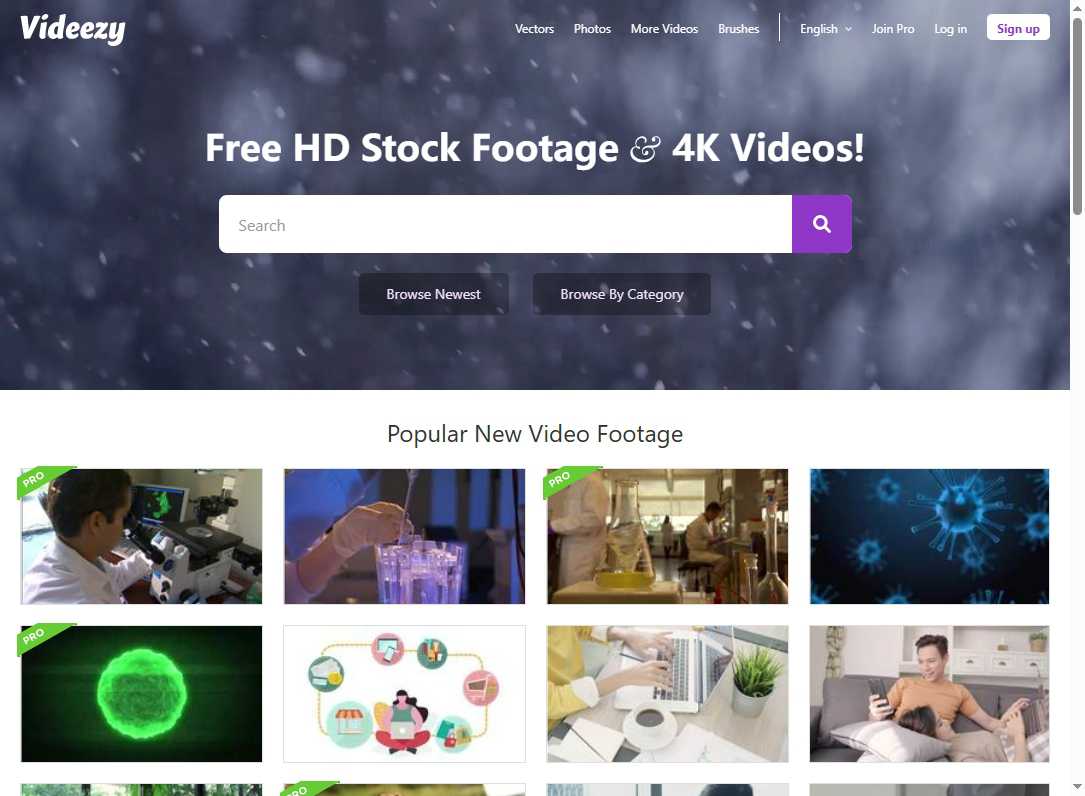 Videezy 网站截图