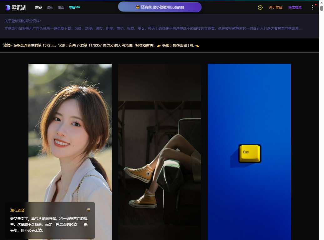 壁纸湖 网站截图